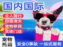 石家庄机场货运国际宠物托运 【国